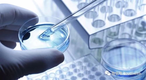 生物技术公司metacrine上市 跌破发行价 市值2.6亿美元