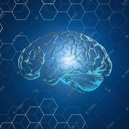 生物基因科技未来技术抽象几何空间线条脑科素材图片免费下载 千库网