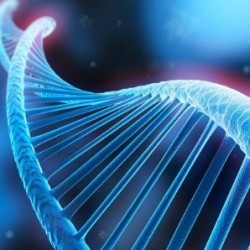 生物科技、细胞领域新业态讲座
