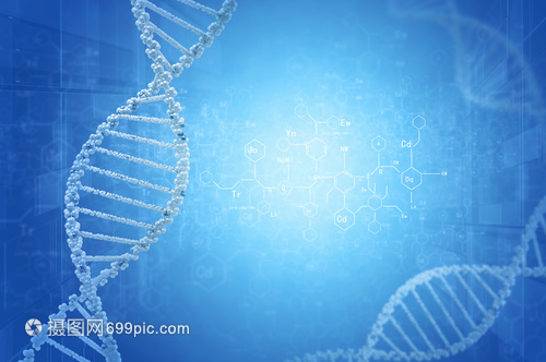 DNA分子高科技DNA分子的生物化学背景