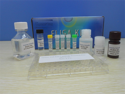 BCA Protein Assay Kit_烟台基诺莱斯生物科技