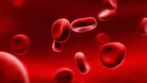 2019年科技热点关键词 生物技术与新能源