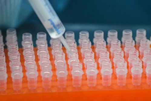 科研成果转化,不能只摘桃不种桃