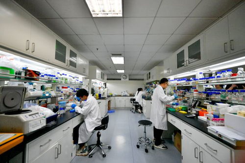 科技 二氧化碳再变身 中国科学家实现重大突破