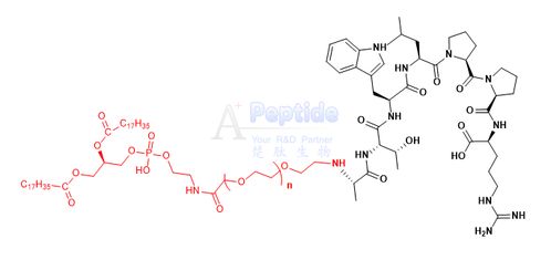dspe peg a7r atwlppr 二硬脂酰基磷脂酰乙醇胺 聚乙二醇 肿瘤靶向蛋白 血管肿瘤靶向肽atwlppr