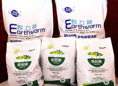 八五〇大米火爆淘乡甜 热销双十一