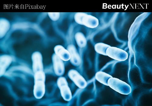 首次收购生物科技公司,欧莱雅瞄准 后生元