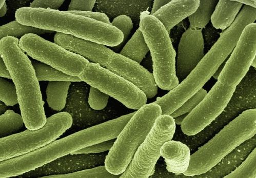 贝塔酸与生物科技 推动人类健康的新引擎