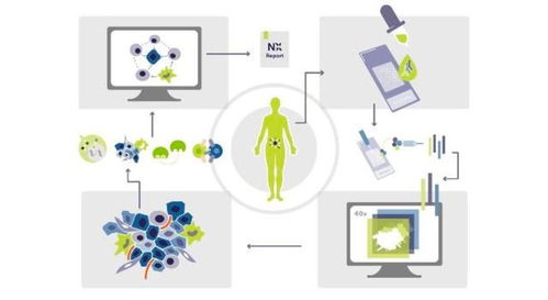 瑞士生物科技公司Navignostics 利用单细胞空间蛋白质组学重塑肿瘤精准治疗