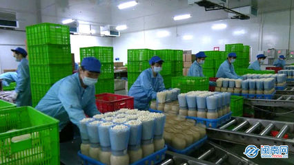 云霄 生物科技助力稳产保供，让市民“菜篮子”拎得更稳