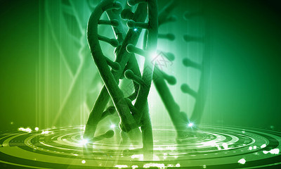 DNA分子高科技DNA分子的生物化学背景