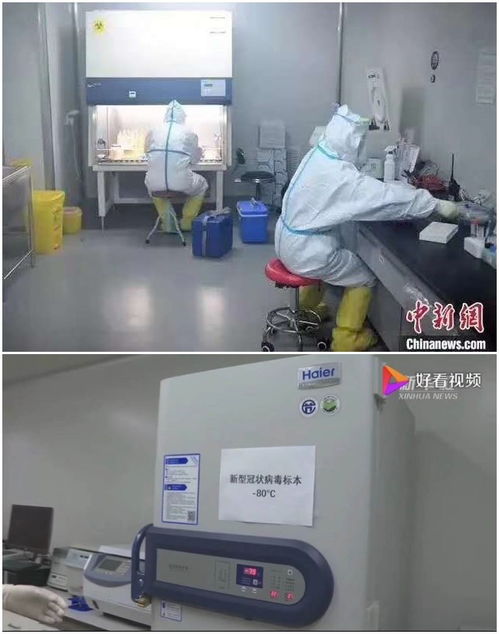 科技抗疫,海尔生物医疗用物联网创新筑国家生物安全防线