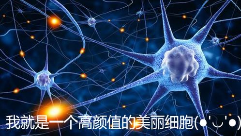 北大金牌学长经验分享 从北大生科来到北京协和医学院
