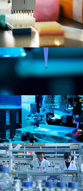 生物科技的实验系列素材探索