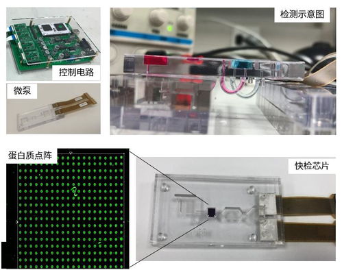 上海工研院微流控技术推进生物芯片研发，引领生物科技新浪潮