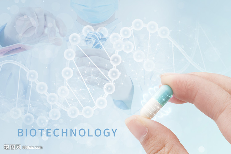 生物科技浪潮下的分子研究 精准解码生命，驱动产业革新